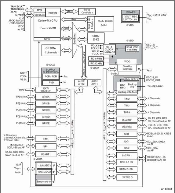 image-20250824080956375